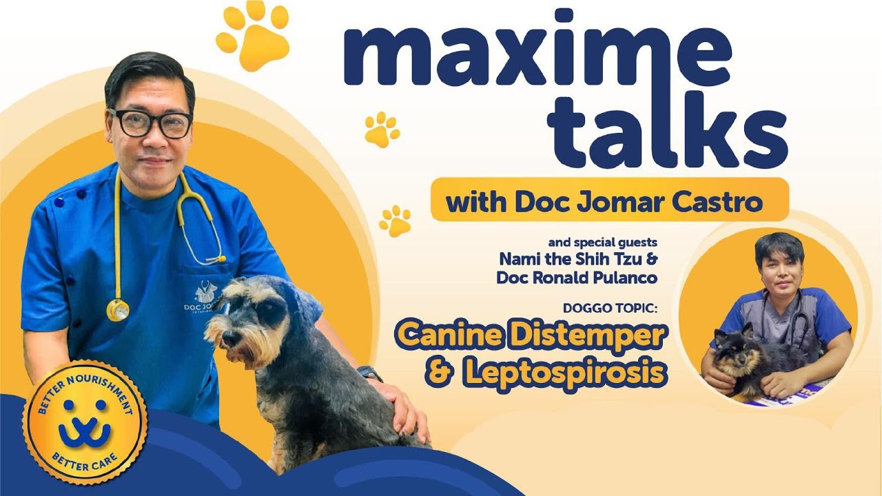 Canine Distemper and Leptospirosis