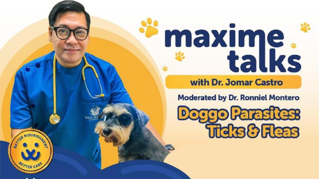 Dog Parasites - Ticks and Fleas