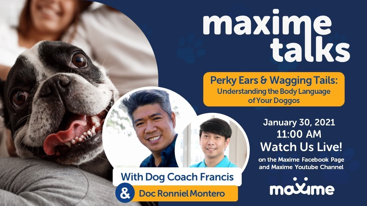 Maxime Talks: Perky Ears and Wagging Tails