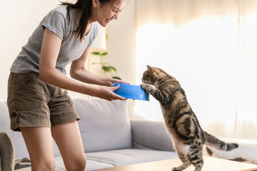Người phụ nữ cho mèo ăn khi đang đứng