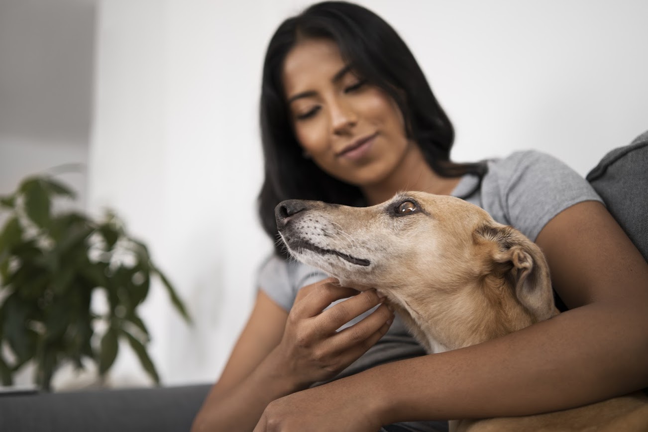 low-angle-woman-holding-cute-dog