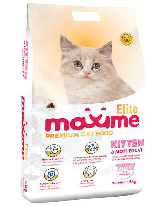 Maxime Elite - Kitten and Mother Cat