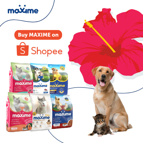 Maxime - Shopee Marketplace