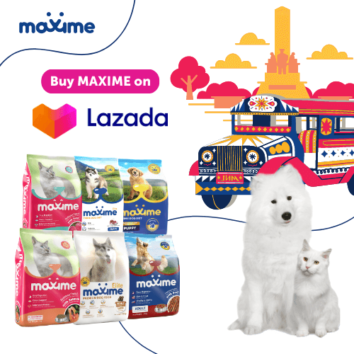 Maxime - Lazada Marketplace