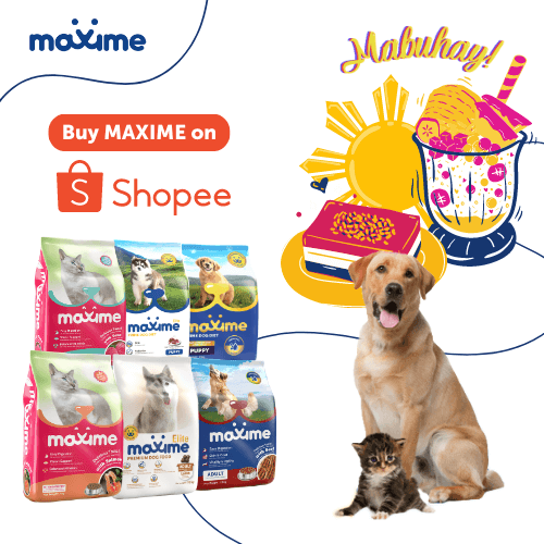 Maxime - Shopee Marketplace