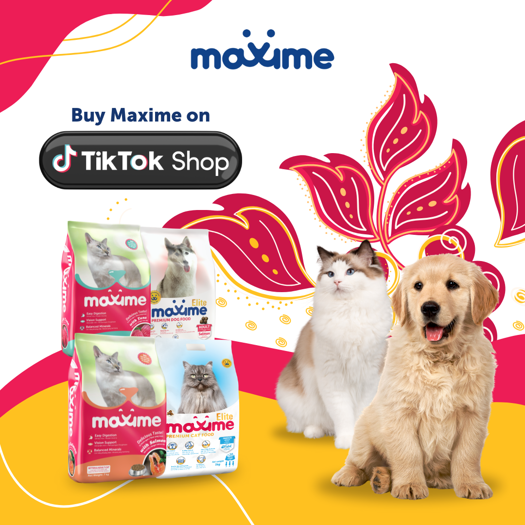 Maxime - Shopee Marketplace